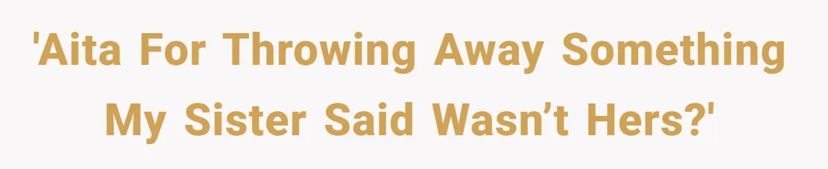 'AITA for throwing away something my sister said wasn’t hers?'