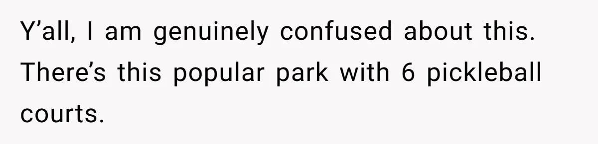 Y’all, I am genuinely confused about this. There’s this popular park with 6 pickleball courts.