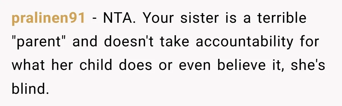 pralinen91 − NTA. Your sister is a terrible "parent" and doesn't take accountability for what her child does or even believe it, she's blind.