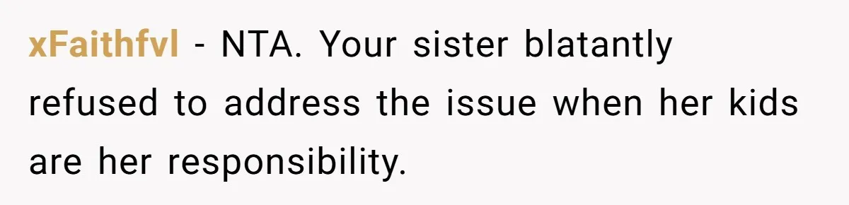 xFaithfvl − NTA. Your sister blatantly refused to address the issue when her kids are her responsibility.