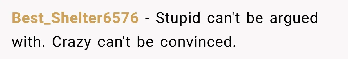 Best_Shelter6576 − Stupid can't be argued with. Crazy can't be convinced.