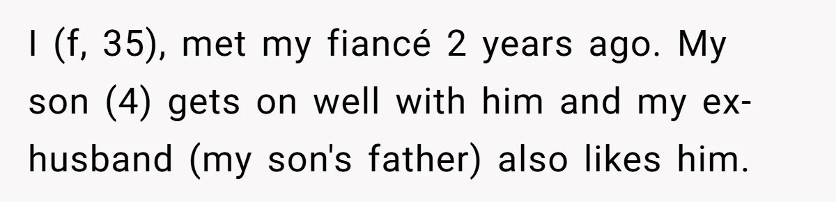 I (f, 35), met my fiancé 2 years ago. My son (4) gets on well with him and my ex-husband (my son's father) also likes him.