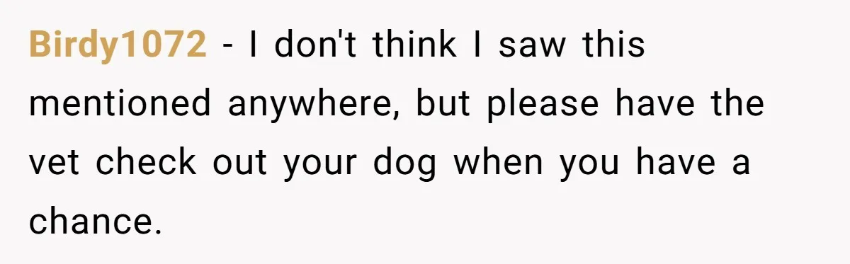 Birdy1072 − I don't think I saw this mentioned anywhere, but please have the vet check out your dog when you have a chance.