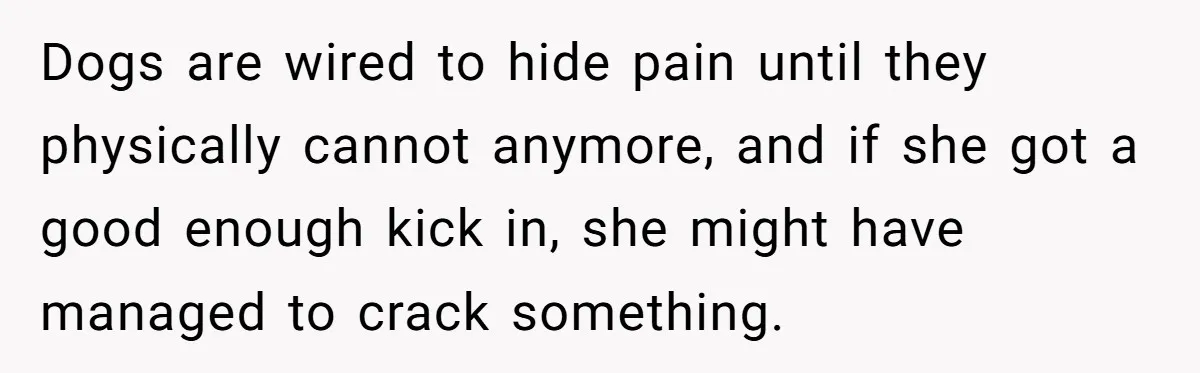 Dogs are wired to hide pain until they physically cannot anymore, and if she got a good enough kick in, she might have managed to crack something.