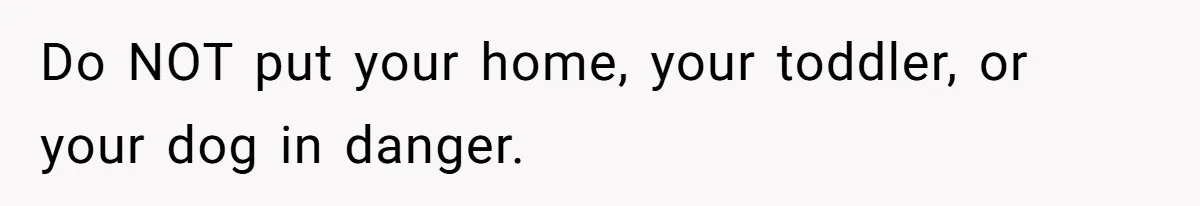 Do NOT put your home, your toddler, or your dog in danger.