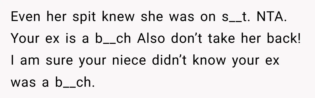 Even her spit knew she was on s__t. NTA. Your ex is a b__ch Also don’t take her back! I am sure your niece didn’t know your ex was a...