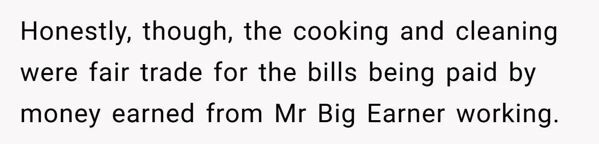 Honestly, though, the cooking and cleaning were fair trade for the bills being paid by money earned from Mr Big Earner working.
