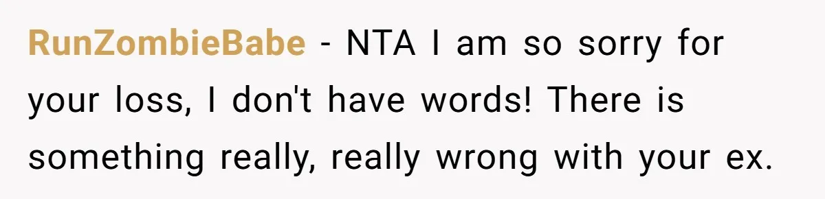 RunZombieBabe − NTA I am so sorry for your loss, I don't have words! There is something really, really wrong with your ex.