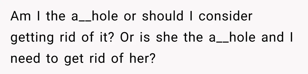 Am I the a__hole or should I consider getting rid of it? Or is she the a__hole and I need to get rid of her?