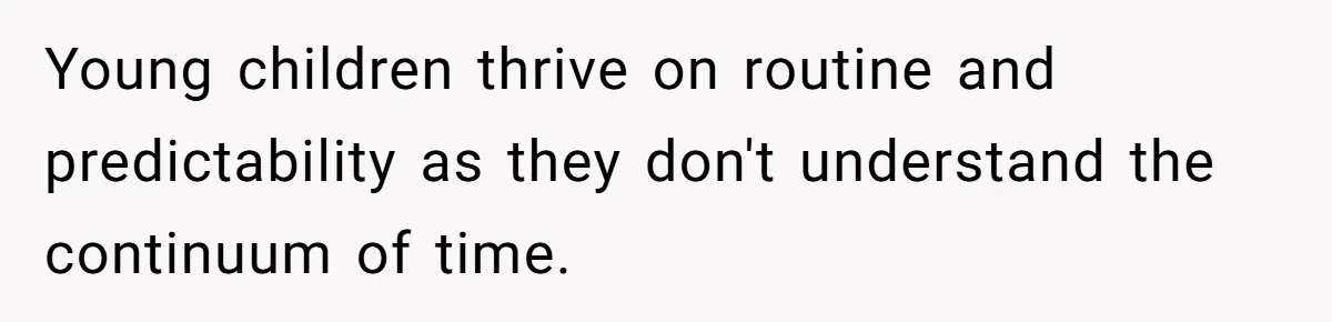Young children thrive on routine and predictability as they don't understand the continuum of time.