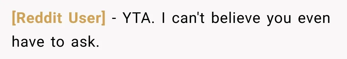 [Reddit User] − YTA. I can't believe you even have to ask.