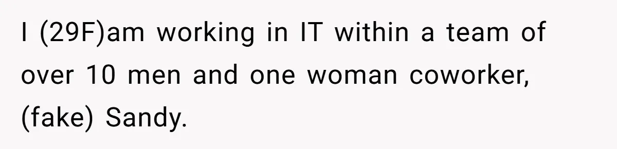 I (29F)am working in IT within a team of over 10 men and one woman coworker, (fake) Sandy.