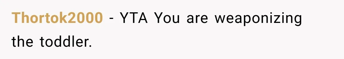 Thortok2000 − YTA You are weaponizing the toddler.