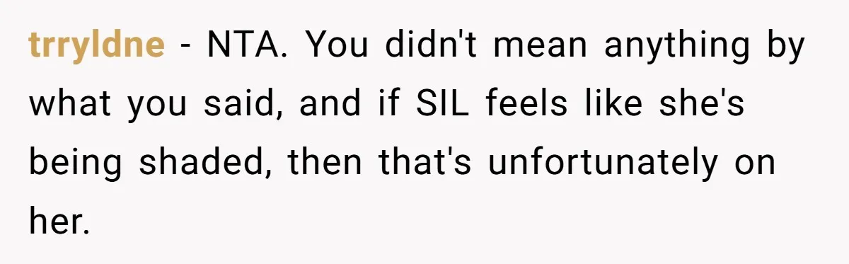 trryldne − NTA. You didn't mean anything by what you said, and if SIL feels like she's being shaded, then that's unfortunately on her.