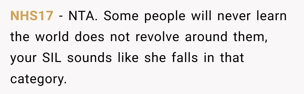 NHS17 − NTA. Some people will never learn the world does not revolve around them, your SIL sounds like she falls in that category.