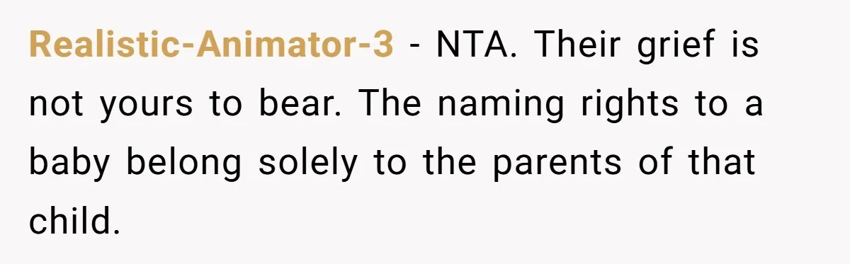 Realistic-Animator-3 − NTA. Their grief is not yours to bear. The naming rights to a baby belong solely to the parents of that child.