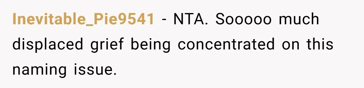 Inevitable_Pie9541 − NTA. Sooooo much displaced grief being concentrated on this naming issue.