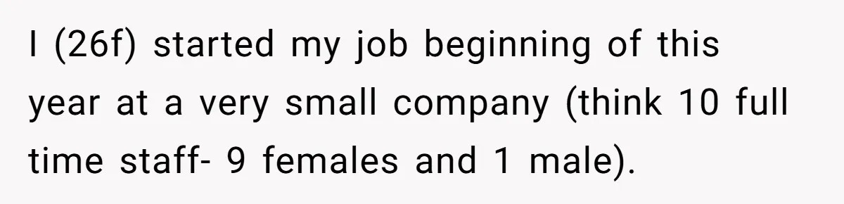 I (26f) started my job beginning of this year at a very small company (think 10 full time staff- 9 females and 1 male).