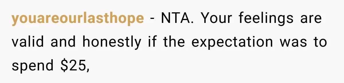 youareourlasthope − NTA. Your feelings are valid and honestly if the expectation was to spend $25,