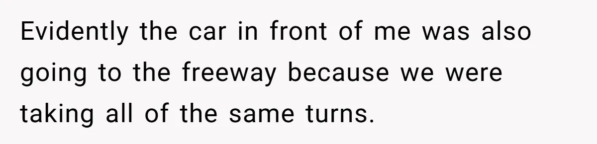 Evidently the car in front of me was also going to the freeway because we were taking all of the same turns.