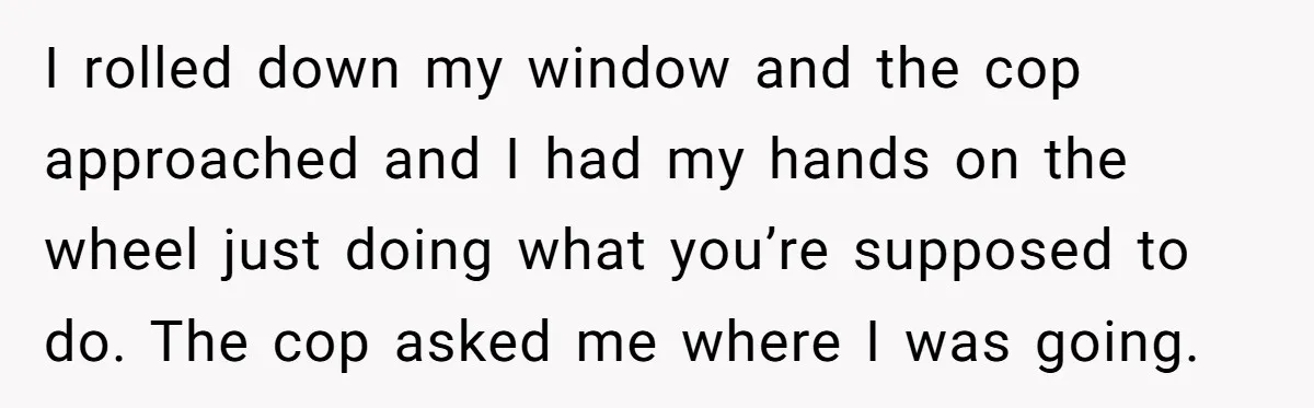 I rolled down my window and the cop approached and I had my hands on the wheel just doing what you’re supposed to do. The cop asked me where I...