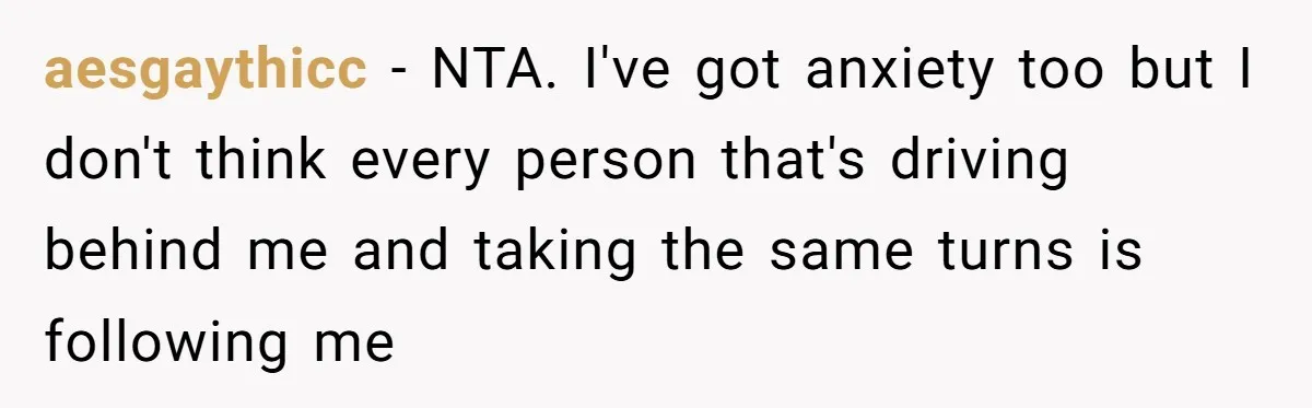 aesgaythicc − NTA. I've got anxiety too but I don't think every person that's driving behind me and taking the same turns is following me