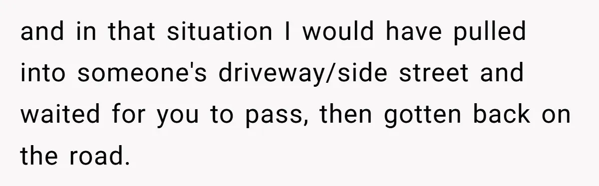 and in that situation I would have pulled into someone's driveway/side street and waited for you to pass, then gotten back on the road.