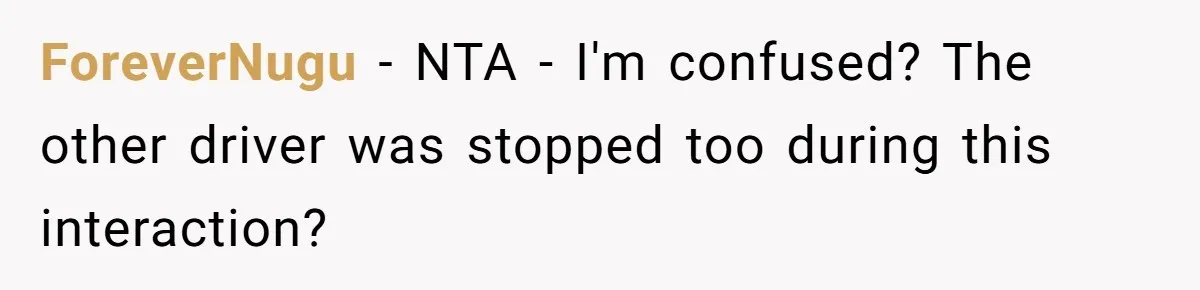 ForeverNugu − NTA - I'm confused? The other driver was stopped too during this interaction?
