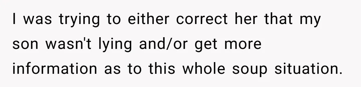 I was trying to either correct her that my son wasn't lying and/or get more information as to this whole soup situation.