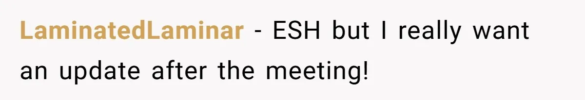 LaminatedLaminar − ESH but I really want an update after the meeting!