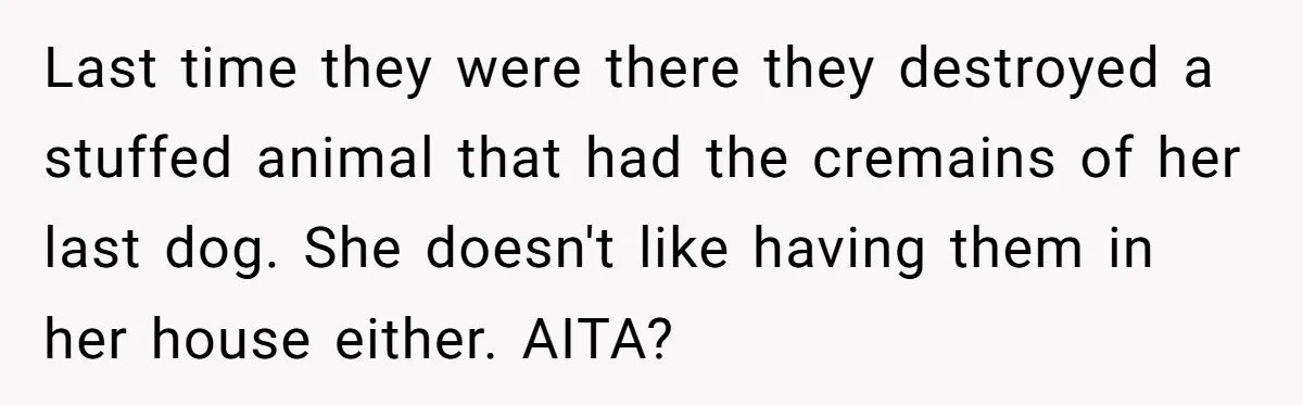 Last time they were there they destroyed a stuffed animal that had the cremains of her last dog. She doesn't like having them in her house either. AITA?