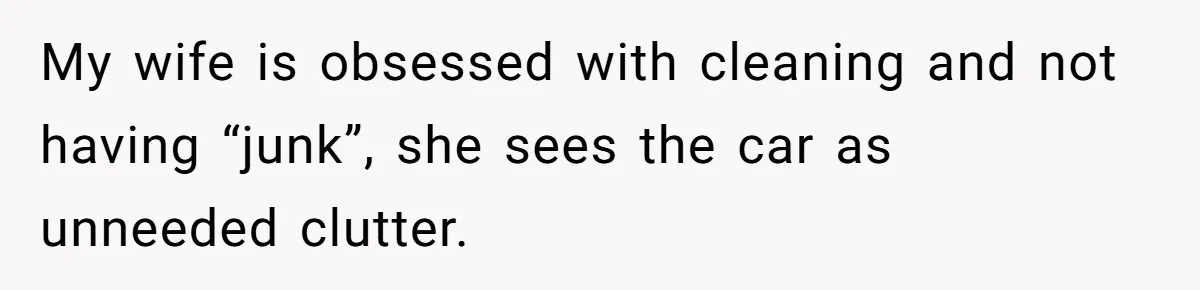 My wife is obsessed with cleaning and not having “junk”, she sees the car as unneeded clutter.