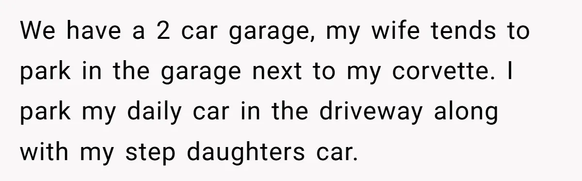 We have a 2 car garage, my wife tends to park in the garage next to my corvette. I park my daily car in the driveway along with my step...