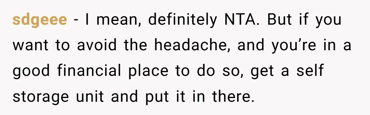sdgeee − I mean, definitely NTA. But if you want to avoid the headache, and you’re in a good financial place to do so, get a self storage unit and...