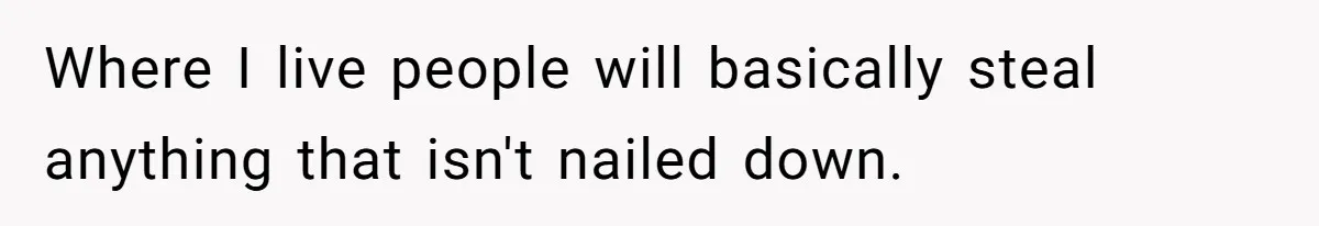 Where I live people will basically steal anything that isn't nailed down.