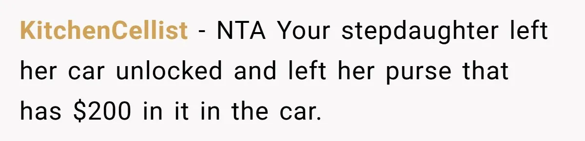 KitchenCellist − NTA Your stepdaughter left her car unlocked and left her purse that has $200 in it in the car.