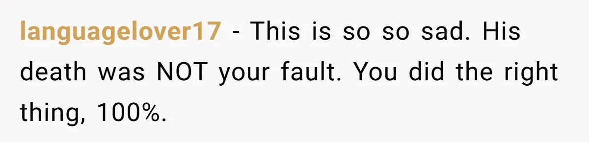 languagelover17 − This is so so sad. His death was NOT your fault. You did the right thing, 100%.