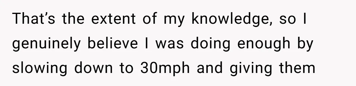 That’s the extent of my knowledge, so I genuinely believe I was doing enough by slowing down to 30mph and giving them