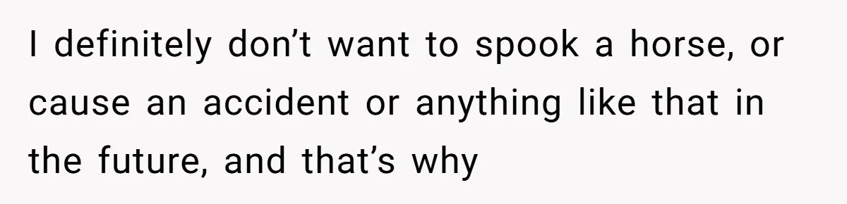 I definitely don’t want to spook a horse, or cause an accident or anything like that in the future, and that’s why