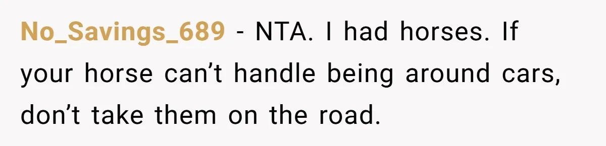 No_Savings_689 − NTA. I had horses. If your horse can’t handle being around cars, don’t take them on the road.