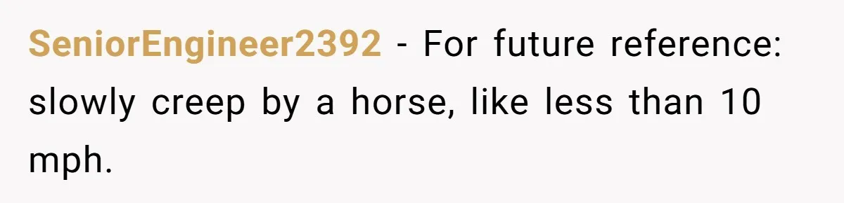 SeniorEngineer2392 − For future reference: slowly creep by a horse, like less than 10 mph.