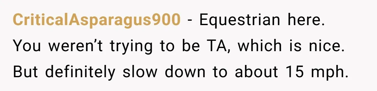 CriticalAsparagus900 − Equestrian here. You weren’t trying to be TA, which is nice. But definitely slow down to about 15 mph.