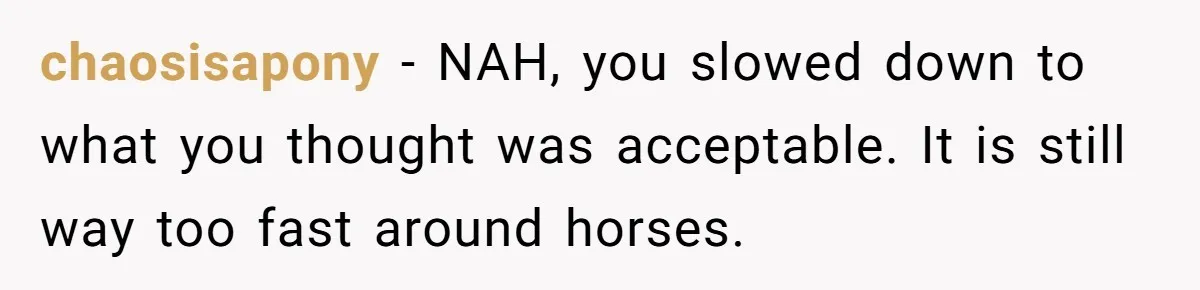 chaosisapony − NAH, you slowed down to what you thought was acceptable. It is still way too fast around horses.