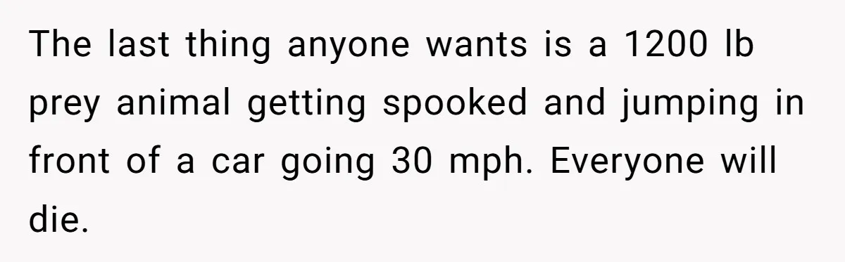 The last thing anyone wants is a 1200 lb prey animal getting spooked and jumping in front of a car going 30 mph. Everyone will die.