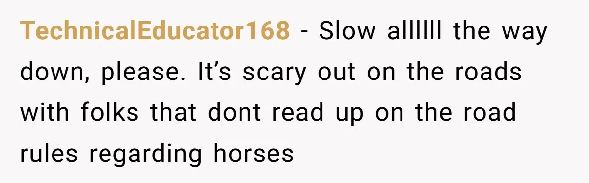 TechnicalEducator168 − Slow allllll the way down, please. It’s scary out on the roads with folks that dont read up on the road rules regarding horses