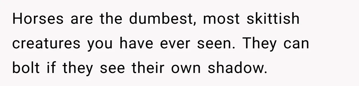 Horses are the dumbest, most skittish creatures you have ever seen. They can bolt if they see their own shadow.