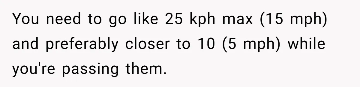 You need to go like 25 kph max (15 mph) and preferably closer to 10 (5 mph) while you're passing them.