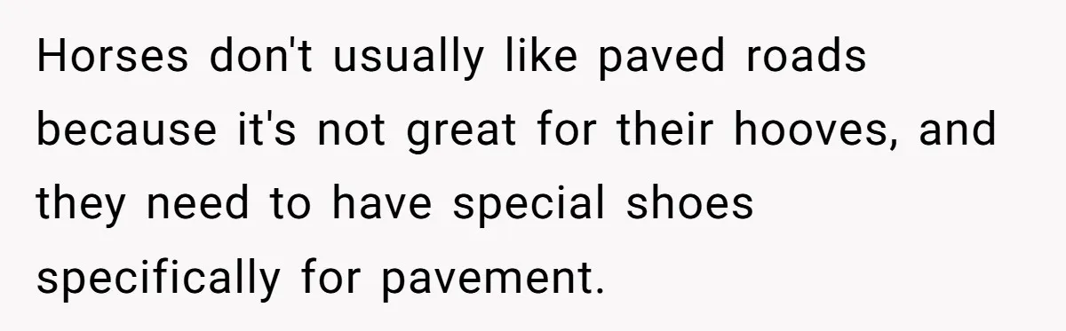 Horses don't usually like paved roads because it's not great for their hooves, and they need to have special shoes specifically for pavement.