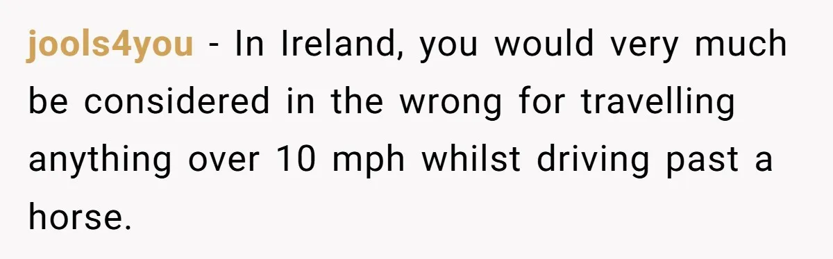 jools4you − In Ireland, you would very much be considered in the wrong for travelling anything over 10 mph whilst driving past a horse.