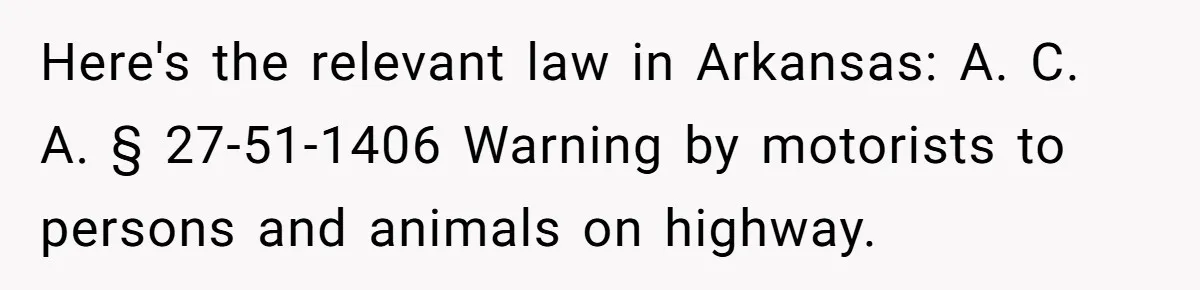 Here's the relevant law in Arkansas: A. C. A. § 27-51-1406 Warning by motorists to persons and animals on highway.